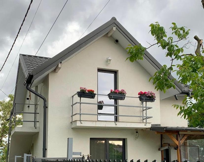 Anastasia'S Villa Jászvásár Kültér fotó